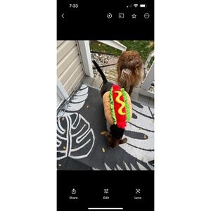 Fancy Hot Dog Tails & Noses Dog Costume